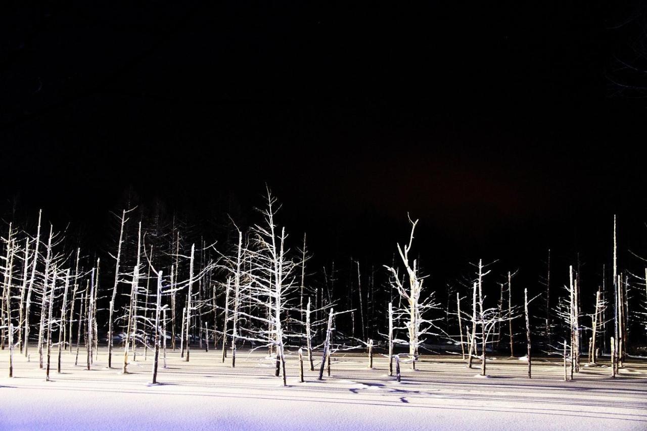 Stay In Tokiwa Asahikawa Bagian luar foto