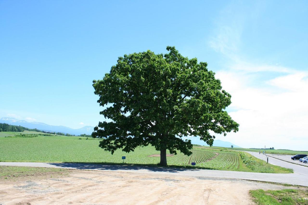 Stay In Tokiwa Asahikawa Bagian luar foto
